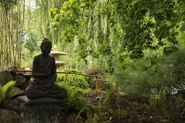 meditacija na zelenoj povrsini